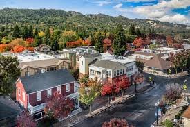 Tri‑Valley Real Estate Realtor Sheela Salunke helping buyers and sellers in Pleasanton, Dublin, San Ramon, Livermore & Danville.